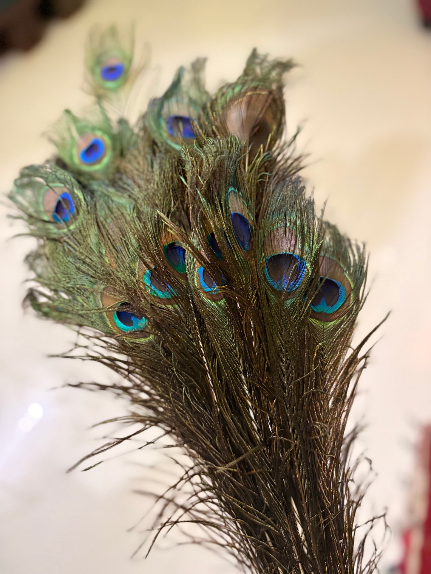 Peacock feather (Morpankh) - 15 pcs