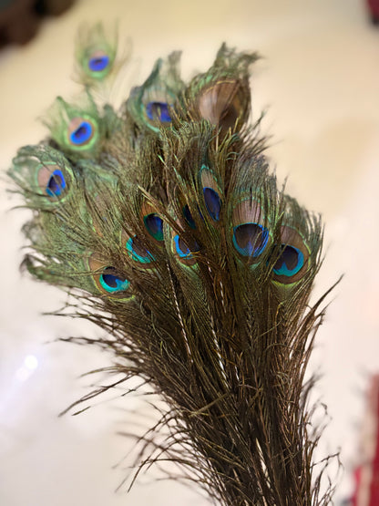 Peacock feather (Morpankh) - 15 pcs