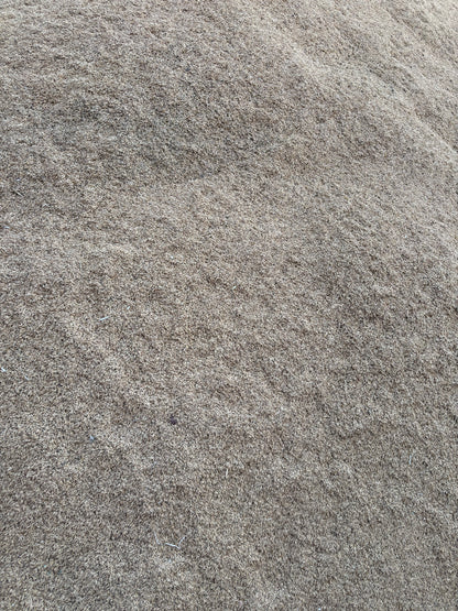 Barley( Dhaan, paddy seeds, jau) - 500 GM