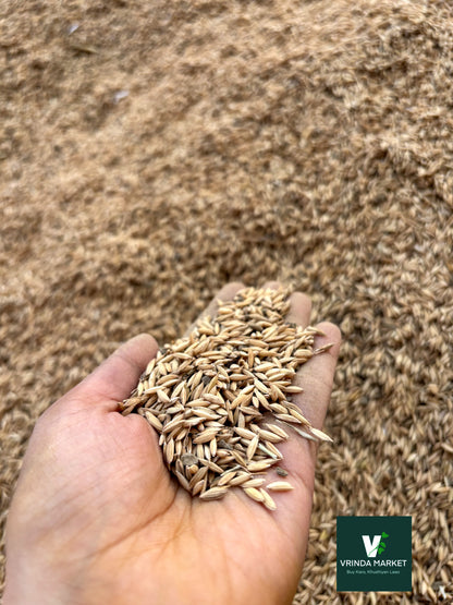 Barley( Dhaan, paddy seeds, jau) - 500 GM
